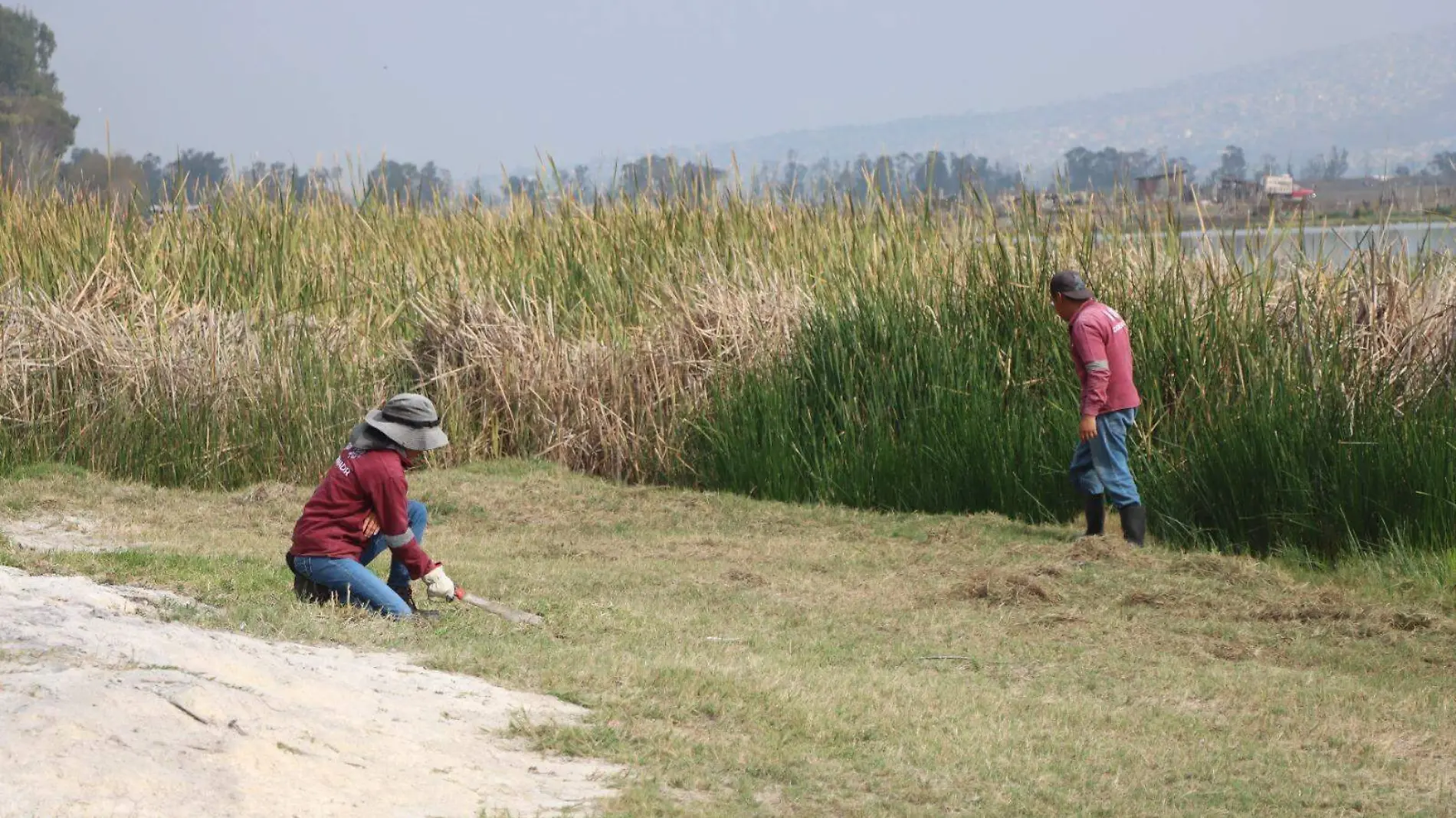 Área Natural Protegida del lago de Tláhuac-Xico